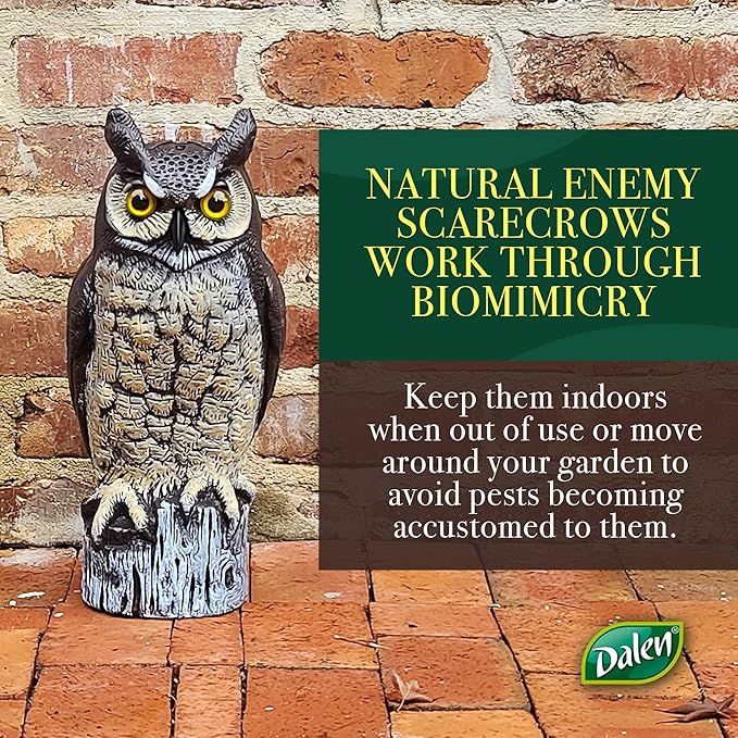 Dalen Large Fake Owl Decoy to Scare Birds Away - Garden Scarecrow Provides Natural Pest Control - 16" Tall - Great Horned Owl