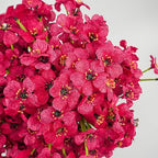 Uieke 72 Bundles Artificial Fake Flowers Outdoor UV Resistant Faux Plants Plastic Cemetery Flowers No Fade Outside Home Garden Porch Window Box Summer Décor -Rose Red