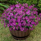 20 Bundles Artificial Flowers for Outdoor Fake Plants for Spring Decoration,Faux Eucalyptus Flowers for Planter UV Resistant Lifelike for Home Porch Garden（Fuchsia）