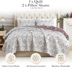 Southshore Fine Living, Inc. Christmas Quilt, Queen Size/Full with 2 Pillow Shams, Reversible Coverlet, Queen Size/Full Size Holiday Christmas Bedding Set - Vintage Red & Cream