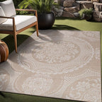 Medallion Outdoor Rug 5x7 Washable Outside Carpet for Indoor Patio Porch Waterproof Easy Cleaning Non Shedding Area Rugs Beige 5 x 7