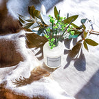 Reed Diffuser Set,5.1oz Cashmere Vanilla Scent Diffuser with Sticks Home Fragrance Reed Diffuser with Essential Oil for Bathroom Shelf Decor&Air Freshener,Home Bathroom Office Decor & Gifts