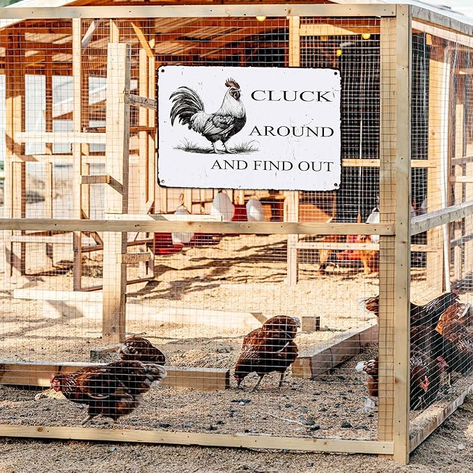 Funny Chicken Coop Sign "Cluck Around & Find Out" Vintage Metal Tin Sign 8x12 Inch - for Farmhouse Kitchen Decor,Chicken Coop Accessories,Barn,Rustic Home & Garden Wall Art with Hanging Holes