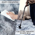 Fluffy Area Rug Living Room: Grey Shag Rug 6x9 Plush Rugs for Living Room - Large Fuzzy Soft Carpet (Tie-Dyed Light Gray, 6x9 Feet)