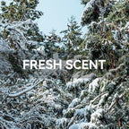 MYARO 12 Packs Cedarwood Scented Sachets for Drawer and Closet, Long-Lasting Closet Sachet Bags Drawer deodorizers Fresh Scents, Home Fragrance for Lover