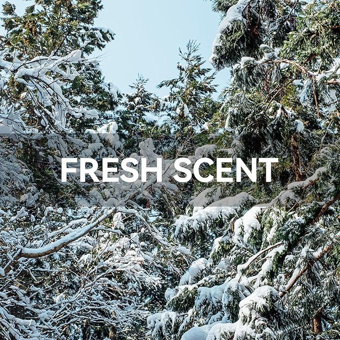 MYARO 12 Packs Cedarwood Scented Sachets for Drawer and Closet, Long-Lasting Closet Sachet Bags Drawer deodorizers Fresh Scents, Home Fragrance for Lover