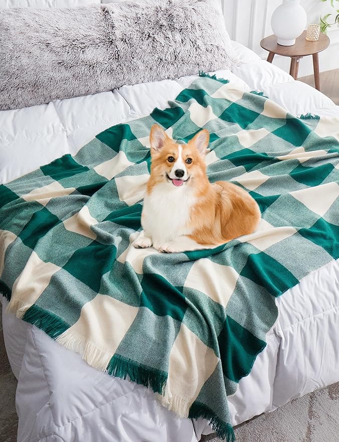 ZonLi Green Checkered Throw Blanket, 50" x 60" Christmas Decorative Blankets, Decorative Vintage Throws with Tassel for Couch, Bed, Sofa, Chair, Outdoor, Cozy Warm Lightweight Farmhouse Blankets