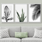 SIGNWIN Framed Canvas Print Wall Art Trio of Jungle Palms & Snake Succulents Floral Plants Photography Modern Art Minimalist Black and White for Living Room, Bedroom, Office - 16"x24"x3 White