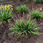 alyptus 12 Bundles Artificial Plants Outdoor Fake Monkey Grass with Flowers for Pot Garden Verandah Decor (Pink Flowers)