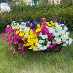 16 Bundles Artificial Flowers for Outdoor Spring Summer Decoration,Realistic Fake Silk Flowers Colorful Morning Glory UV Resistant Faux Plants for Front Door Porch Patio Planter Yard (Multi-Color)