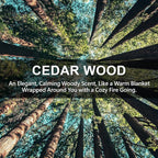 ROSE COTTAGE Large 12 Packs Cedar Wood Hanging Closet Deodorizer Air Freshener Long Lasting Scented Sachets Smell Goods for House