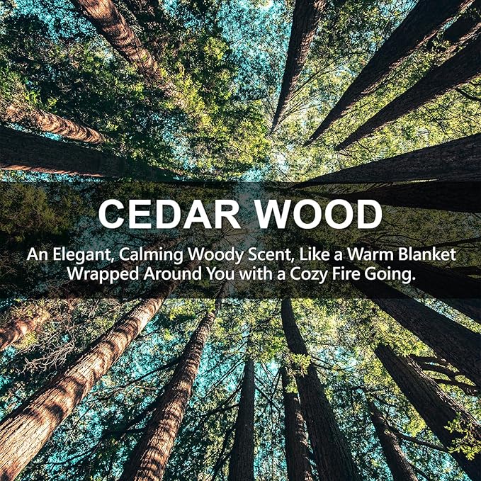 ROSE COTTAGE Large 12 Packs Cedar Wood Hanging Closet Deodorizer Air Freshener Long Lasting Scented Sachets Smell Goods for House