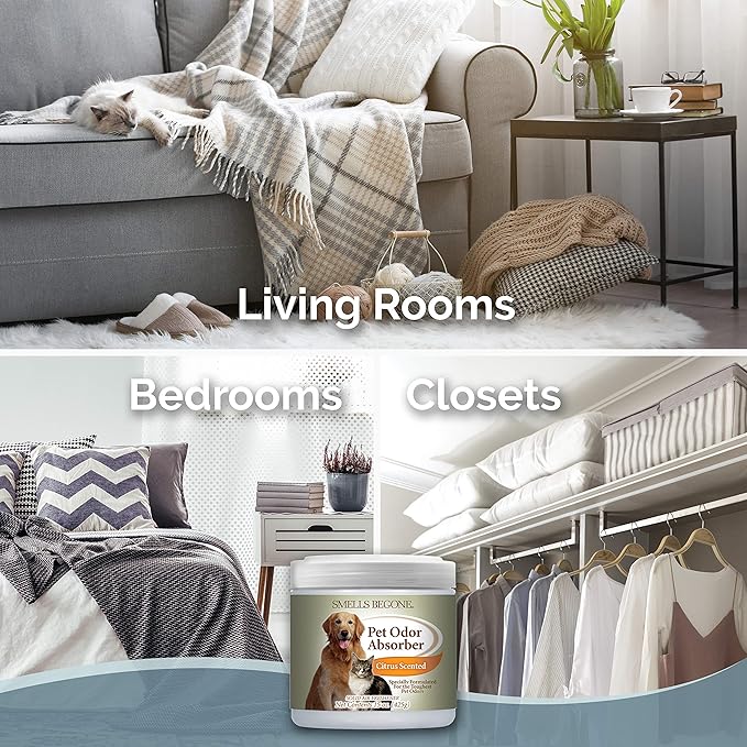 SMELLS BEGONE Air Freshener Pet Odor Absorber Gel - 15 oz, Pack of 2 - Absorbs and Eliminates Odor in Pet Areas, Bathrooms, Cars, & Boats - Made with Essential Oils - Citrus Scent