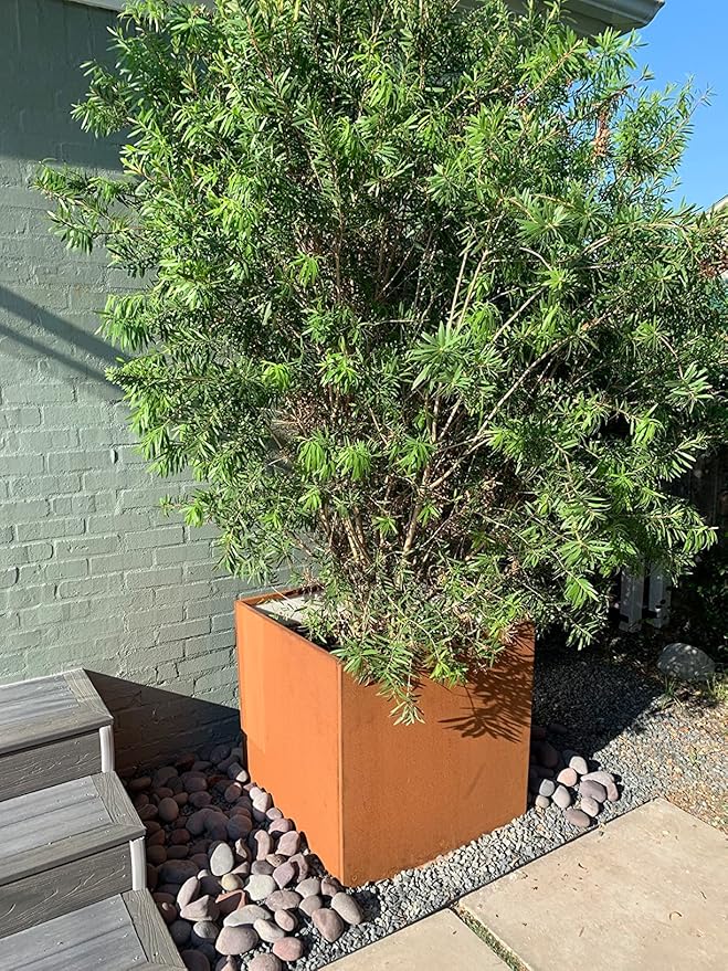 Corten Steel Planter Box Metal Square Planters Steel Large Planter Outdoor Tall Plant Durable Antique Detached for Commercial Residential Patio Deck and Backyard 26 Inch