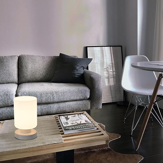 Touch Bedside Lamp, Mini Stepless Dimmable Table Lamps for Bedroom for Night Stands, Small Desk Lamp with Brightness Memory, USB Charging Ports, Warm LED Bulb, White, Cylindrical Shape, 2 Set