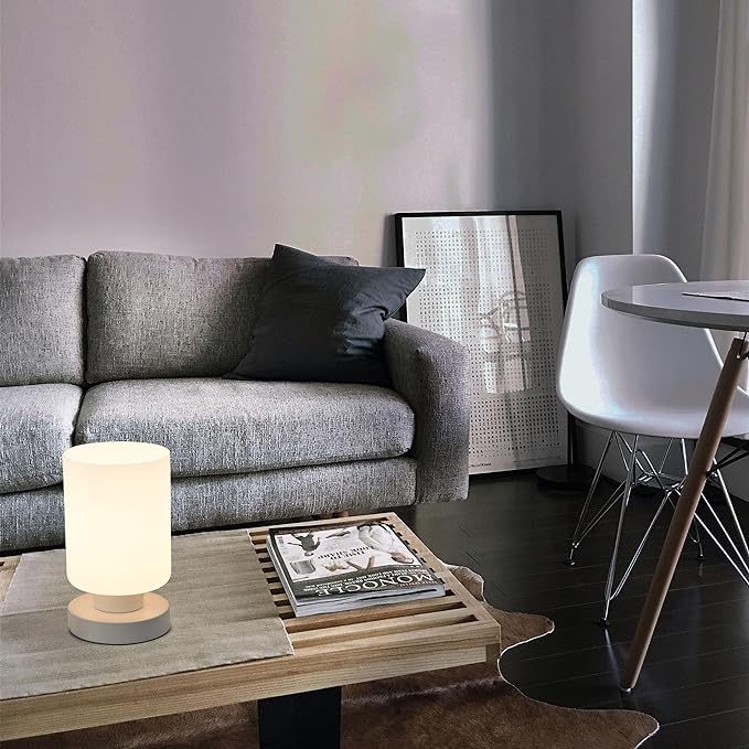 Cordless Bedside Lamp, Portable Rechargeable Table Lamps for Bedroom for Night Stands, Touch Stepless Dimmable Desk Lamp, Warm LED Bulb, Cylindrical Shape, 1 Set, White