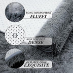 Fluffy Area Rug Living Room: Grey Shag Rug 6x9 Plush Rugs for Living Room - Large Fuzzy Soft Carpet (Gray 6x9 Feet)