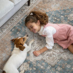 GENIMO 9x12 Area Rugs for Living Room, Non Slip Machine Washable Vintage Rugs, Low Pile Lightweight Chenille Print Large Rug for Bedroom, Dining Room, Home Office, Blue Brown