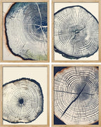 SIGNWIN Framed Blue & White Overexposed Wood Tree Ring Wall Art, Set of 4 Nature Wildernes Wall Decor Prints, Minimalism Wall Décor for Living Room, Bedroom - 12"x16" Natural