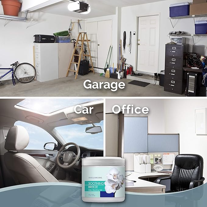 SMELLS BEGONE Air Freshener Odor Absorber Gel - 15 oz, Pack of 2 - Absorbs and Eliminates Odor in Pet Areas, Bathrooms, Cars, & Boats - Made with Essential Oils - Soothing Breeze Scent