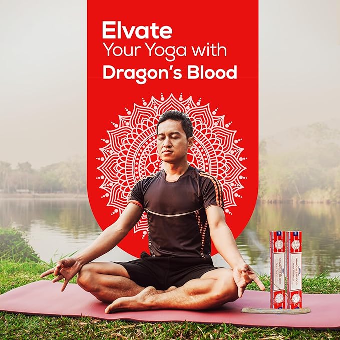 Satya Dragon Blood Incense Sticks 180 gm (15GM X 12 Pack) from Satya Sai Baba Nag Champa and Raajsee Incense Sticks Holder Bundle, Free from Chemicals,Natural Insenses