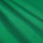 Amazon Basics 2 Piece Microfiber Kid's Bed-in-a-Bag Bedding Set, Toddler, Green, Solid